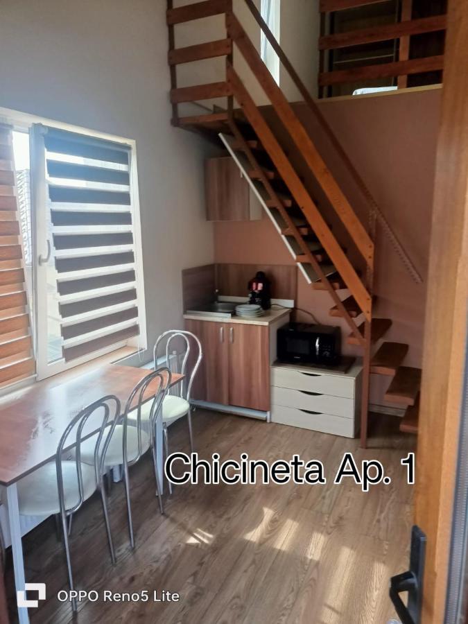 Casa Lucaciu Villa Cluj-Napoca Buitenkant foto